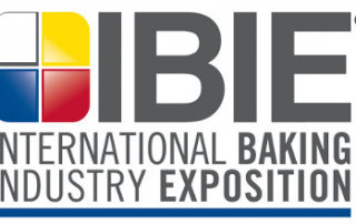 IBIE logo