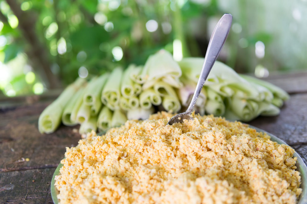 masa-flour-meal