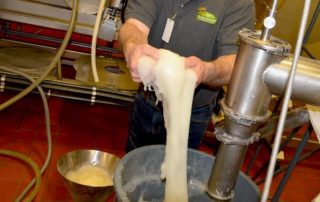 Food production of pre-gelatinized starch at 100% hydration with Rapidojet.